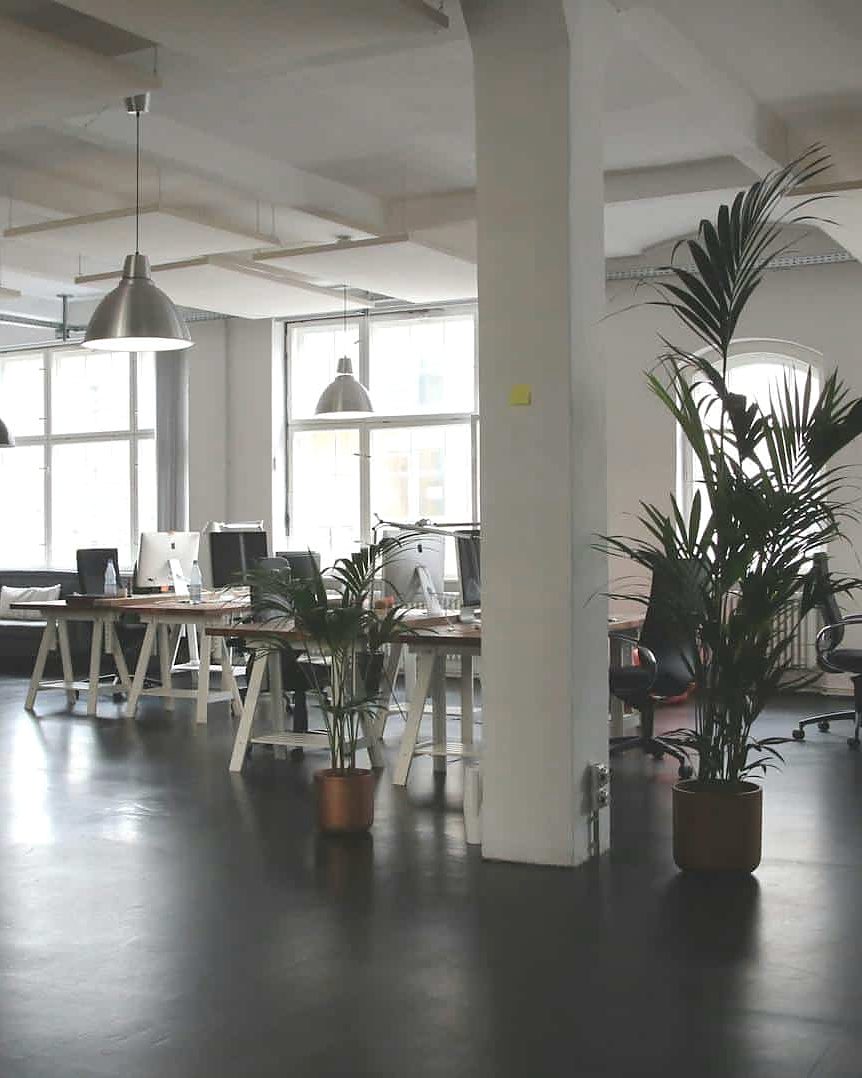 Bright open-plan office with desks and plants