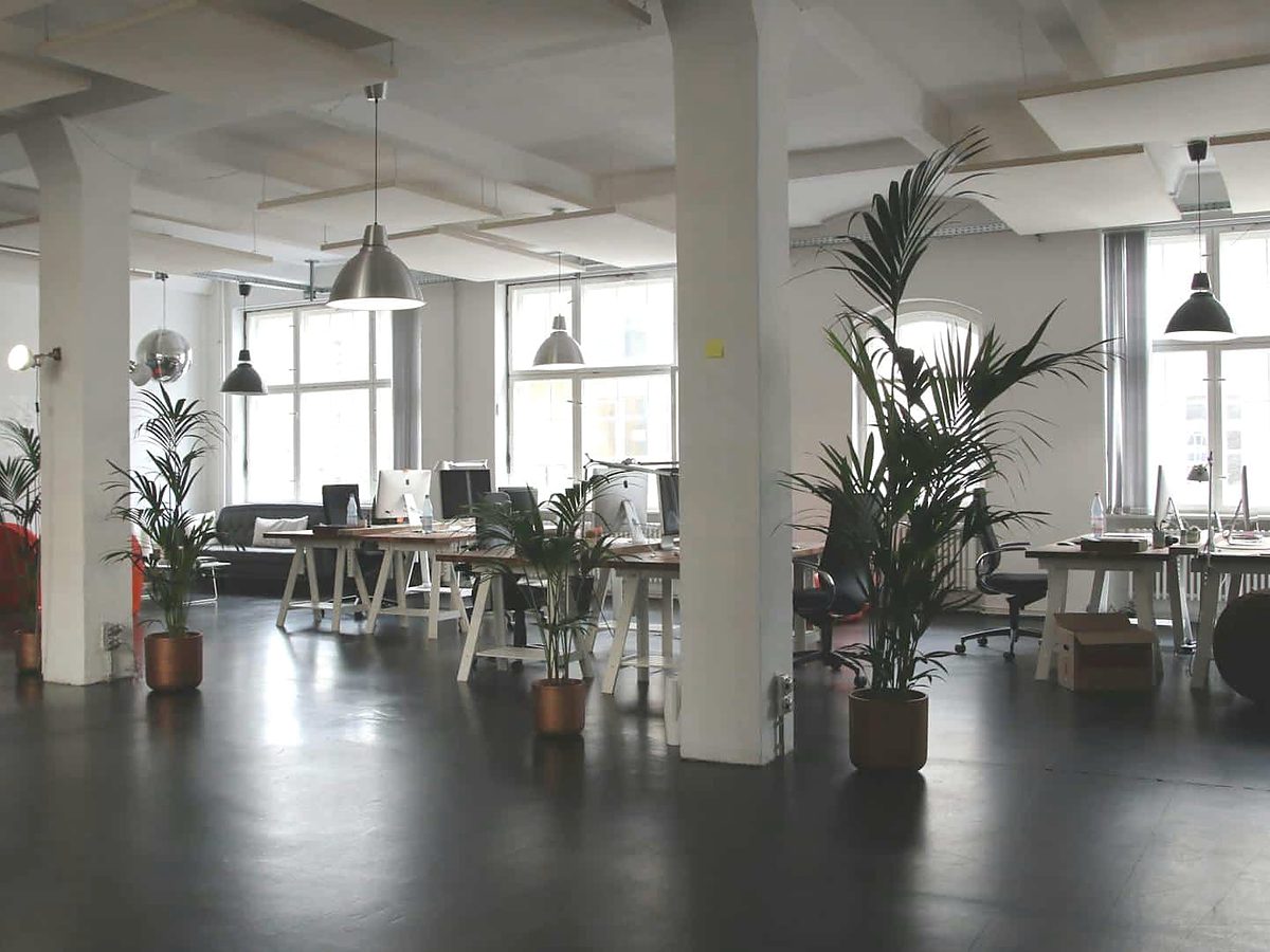 Bright open-plan office with desks and tall windows